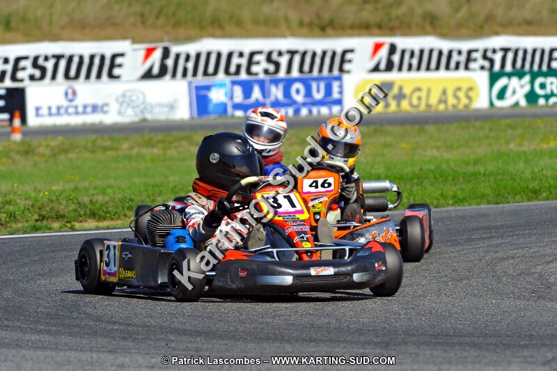 DSC_ (1211).jpg